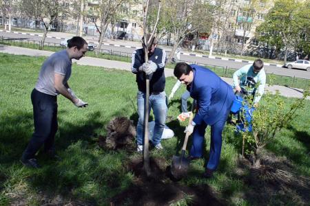 О.А. Лебедев в Туле вместе с жителями посадил деревья на месте будущего сквера