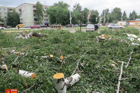 Тамбовские коммунисты протестуют против вырубки парка