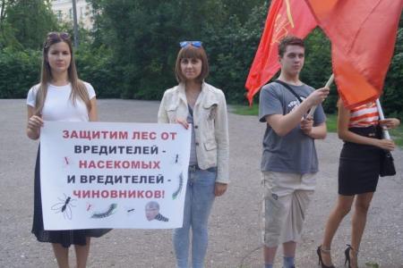 Пенза. Защитим лес от паразитов и чиновников