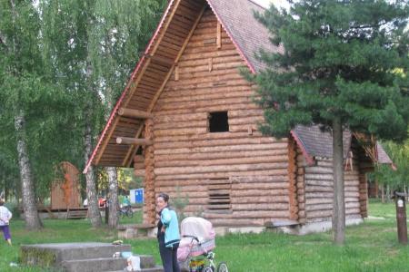 Коммунисты провели пикет против застройки парка Берендеевка в Костроме