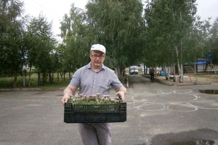 Тюменская область. Тобольские коммунисты высадили 1500 цветов в поселке Сумкино