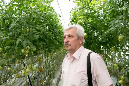 Встречи кандидата в губернаторы Краснодарского края Николая Осадчего в Тимашевске