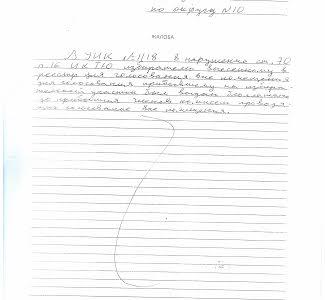 Массовые нарушения на выборах в Ишиме Тюменской области