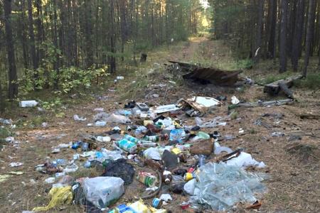 Республика Саха (Якутия). Коммунисты организовали субботник в районе озера Долгое