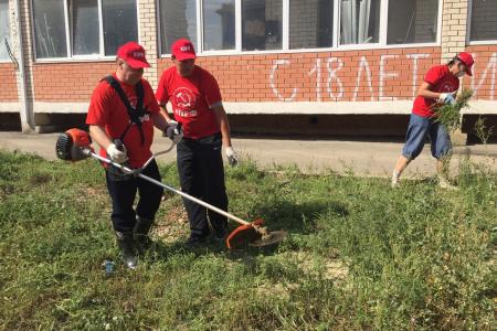 Краснодар. КПРФ организовала экологический десант по покосу амброзии по просьбе жителей поселка Российский