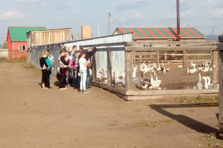 Владимир Поздняков: «Агротуризм можно организовать и в самой отдалённой глубинке, было бы желание» 