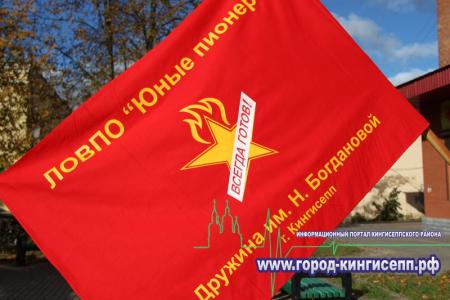 Ленинградская область. Полку кингисеппских пионеров прибыло!