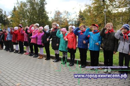 Ленинградская область. Полку кингисеппских пионеров прибыло!