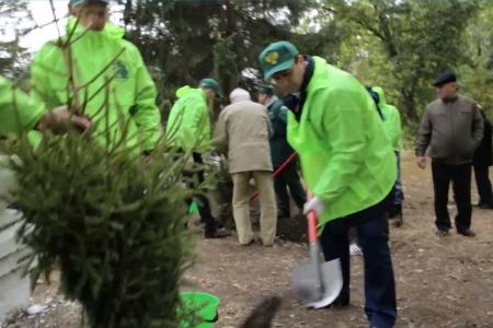 Олег Лебедев принял участие во Всероссийской акции «Живи, лес!» в Воронежской области
