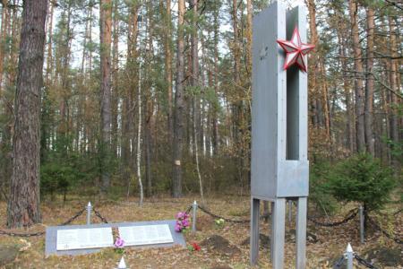 Комсомольцы Брянщины вместе со своими старшими товарищами провели вахту памяти