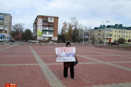 Тамбовская область. В Котовске прошли одиночные пикеты против вырубки вековых сосен 