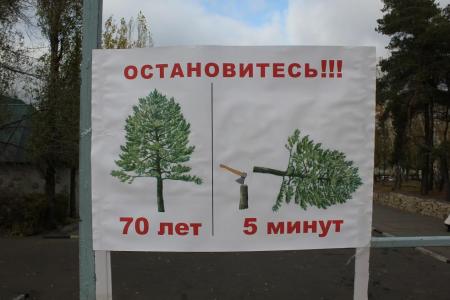 Воронеж. Отстоим парк «Танаис»!
