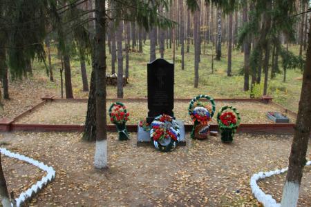 Комсомольцы Брянщины вместе со своими старшими товарищами провели вахту памяти