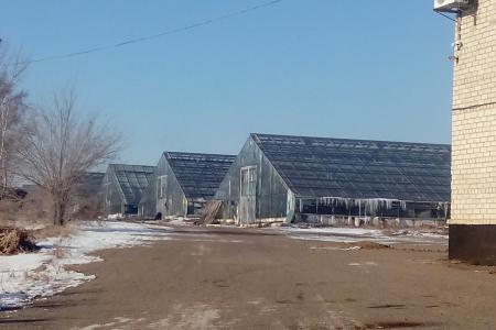 Забайкалье. В.Г. Поздняков (КПРФ) встретился с коллективом ОАО «Черновский овощевод», чтобы обсудить перспективы его дальнейшего существования