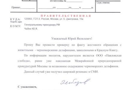 Олег Лебедев защитил краснокнижных дельфинов, которые едва не погибли из-за жестокого обращения коммерсантов