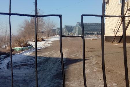 Забайкалье. В.Г. Поздняков (КПРФ) встретился с коллективом ОАО «Черновский овощевод», чтобы обсудить перспективы его дальнейшего существования