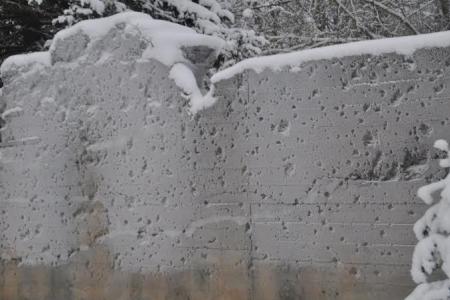 Коммунисты и комсомольцы Санкт-Петербурга почтили память защитников Ораниенбаумского плацдарма