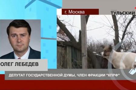 Олег Лебедев на тульском телевидении рассказал о своем законопроекте об усилении ответственности за жестокое обращение с животными