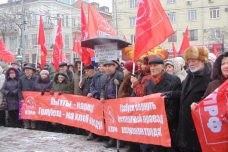 «Льготы – народу; Голубева – на хлеб и воду!». Митинг в Ростове-на-Дону