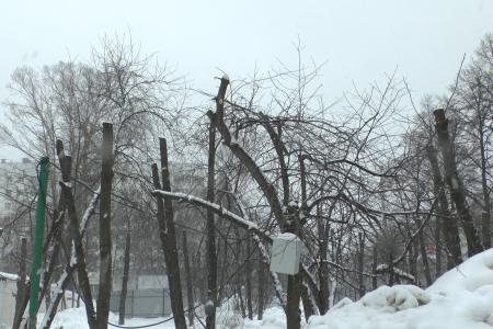 Уфа. А.А. Ющенко провел встречу с горожанами на улице Зорге