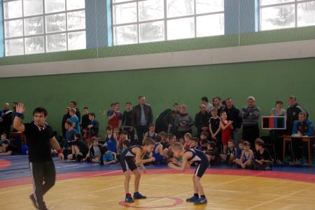 Брянские коммунисты провели турнир по вольной борьбе, посвящённый памяти коммуниста, депутата и спортсмена Алексея Моисеенкова