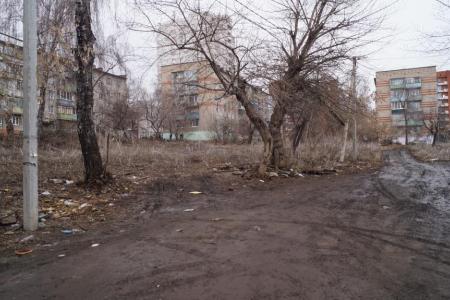В.А. Симагин: Отвоюем парки и скверы у любителей плотной застройки