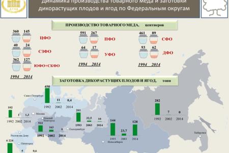 В.И. Кашин: «Совершенствование правового регулирования заготовки и переработки пищевых и недревесных лесных ресурсов в решении задачи комплексного освоения лесов»