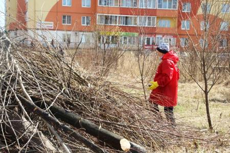 Новгородские коммунисты вышли на субботник вместе с жителями "Лугового"