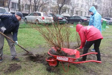 Валерий Рашкин провёл субботник в столичном районе Марьино