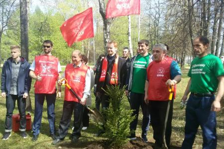 Московские коммунисты посадили ели в Парке Победы на Поклонной горе