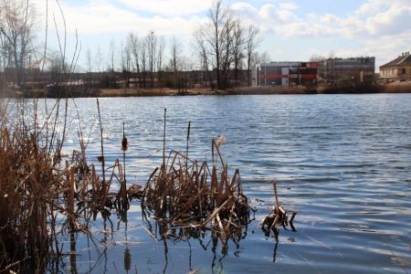 Новгородские коммунисты вышли на субботник вместе с жителями "Лугового"