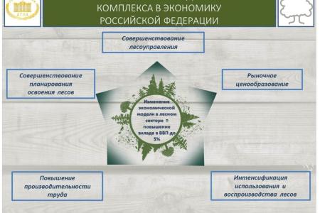 В.И. Кашин: «Комплексное освоение лесов: проблемы, задачи, пути решения» 