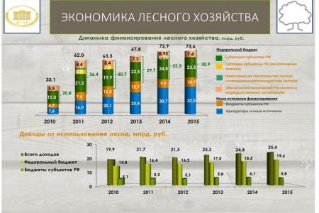 В.И. Кашин: «Комплексное освоение лесов: проблемы, задачи, пути решения» 