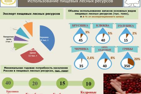 В.И. Кашин: «Совершенствование правового регулирования заготовки и переработки пищевых и недревесных лесных ресурсов в решении задачи комплексного освоения лесов»