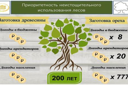 В.И. Кашин: «Комплексное освоение лесов: проблемы, задачи, пути решения» 
