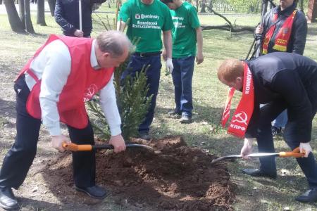 Московские коммунисты посадили ели в Парке Победы на Поклонной горе