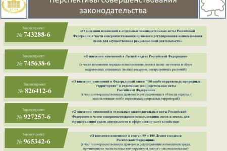 В.И. Кашин: «Совершенствование правового регулирования заготовки и переработки пищевых и недревесных лесных ресурсов в решении задачи комплексного освоения лесов»