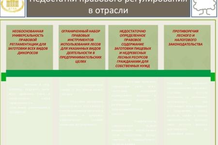 В.И. Кашин: «Совершенствование правового регулирования заготовки и переработки пищевых и недревесных лесных ресурсов в решении задачи комплексного освоения лесов»