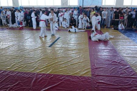 Ставропольский край. Коммунисты провели детский борцовский турнир в честь Героя Советского Союза И.А. Щипакина