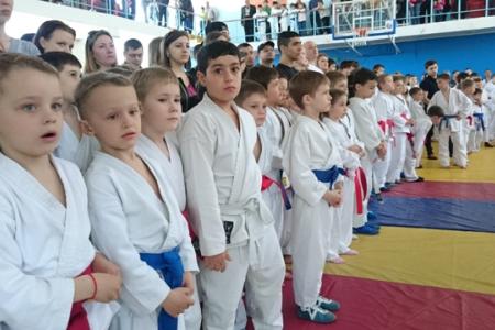 Ставропольский край. Коммунисты провели детский борцовский турнир в честь Героя Советского Союза И.А. Щипакина