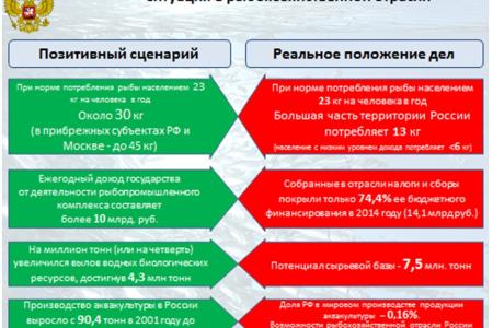 В.И. Кашин: «Законодательное обеспечение реализации поручений Президента Российской Федерации, направленных на развитие отечественного рыбохозяйственного комплекса»