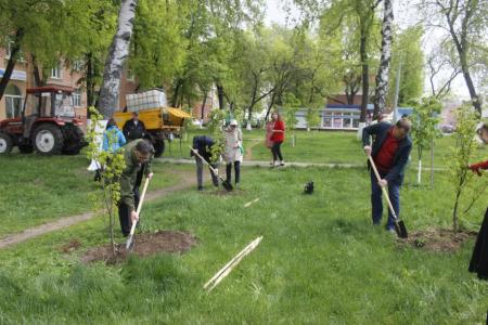 Ярославские коммунисты приняли участие в восстановлении аллеи памяти