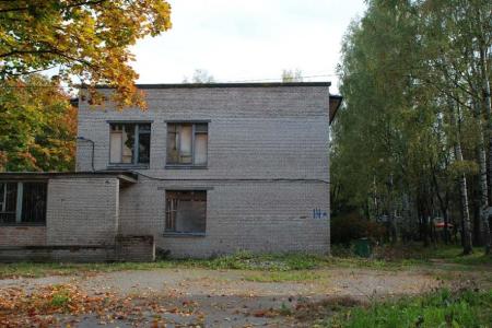 Ленинградская область, Тосненский район. Участники митинга в поселке Тельмана: Детям нужен детский сад!