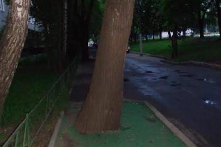 Руководитель фракции КПРФ в Мосгордуме А.Е. Клычков обратился к главе управы района Зябликово по вопросу благоустройства