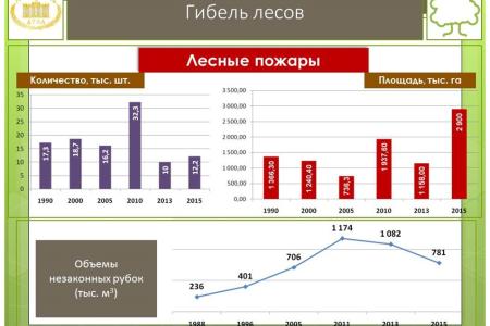 В.И.Кашин провел расширенное заседание секции Высшего экологического совета на тему: «Актуальные проблемы правового регулирования создания лесопарковых зеленых поясов крупных городов»