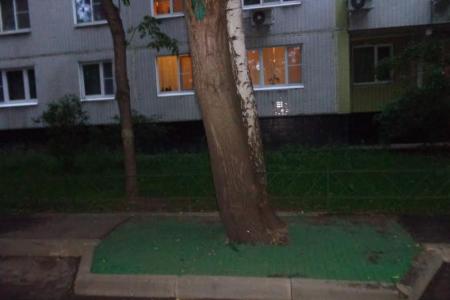 Руководитель фракции КПРФ в Мосгордуме А.Е. Клычков обратился к главе управы района Зябликово по вопросу благоустройства