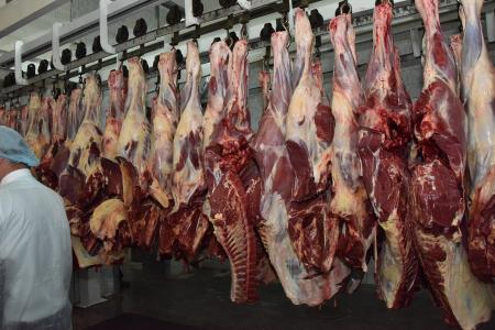 «Развитие агропромышленного комплекса – один из ключевых вопросов для КПРФ». На базе народного предприятия «Звениговское» состоялся Всероссийский Совет работников агропромышленного комплекса