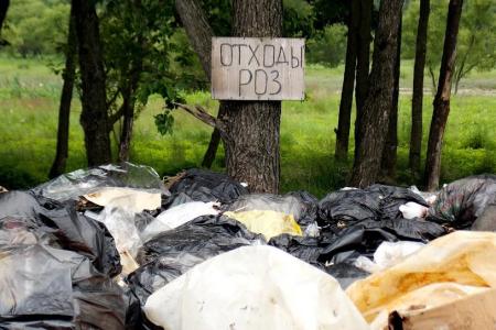 Приморский край. Государственное сельхозпредприятие из города Артёма предпочитает уничтожать тонны тепличных овощей, нежели снизить на них цену