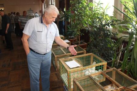 Челябинская область. Иван Никитчук: Выставка голубей – символ красоты и гармонии мира. Именно за это боремся мы, коммунисты