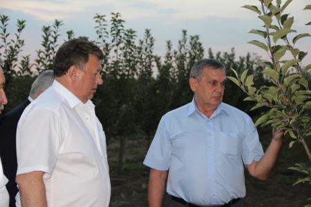 В.И. Кашин: Для нормального развития сельского хозяйства нужны надежные механизмы реализации произведенной продукции!